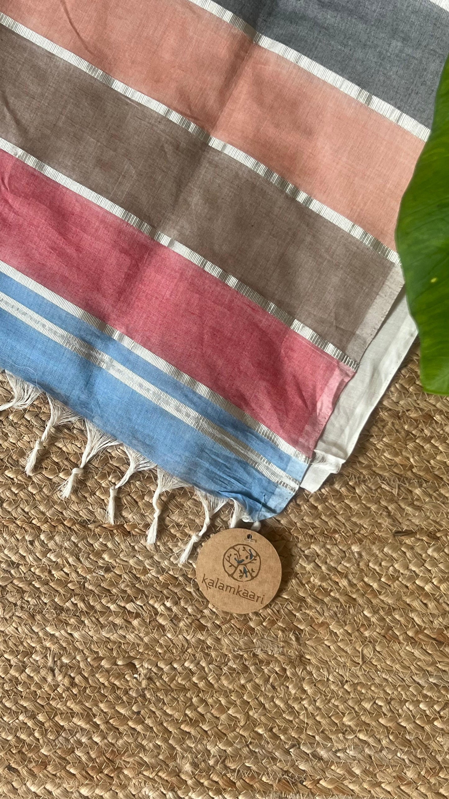 Rainbow Casatta Kasavu saree (silver)