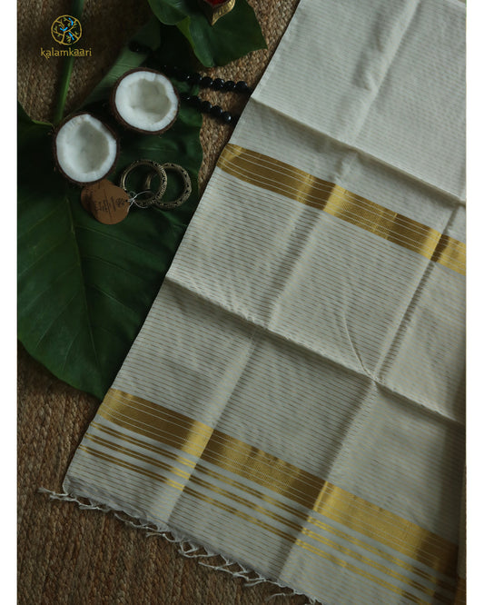 PINSTRIPESBODY WITH DOUBLE KATTIKARA PALLU