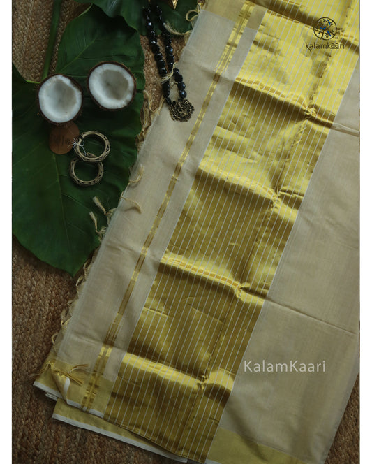 3*10 TISSUE BORDER SAREE