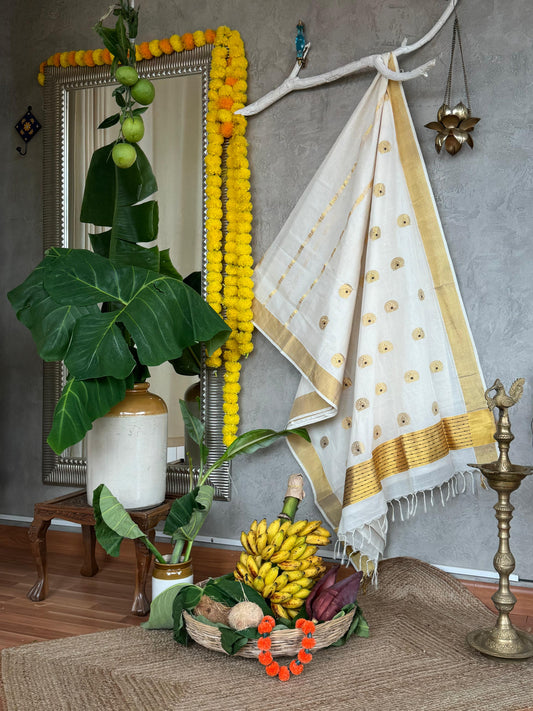 COFFEE BROWN STRIPE ON KATTIKKARA KASAVU SAREE