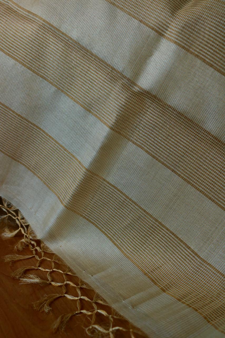 TUSSAR SAREE WITH MICRO CHECKS AND PLAIN BORDER