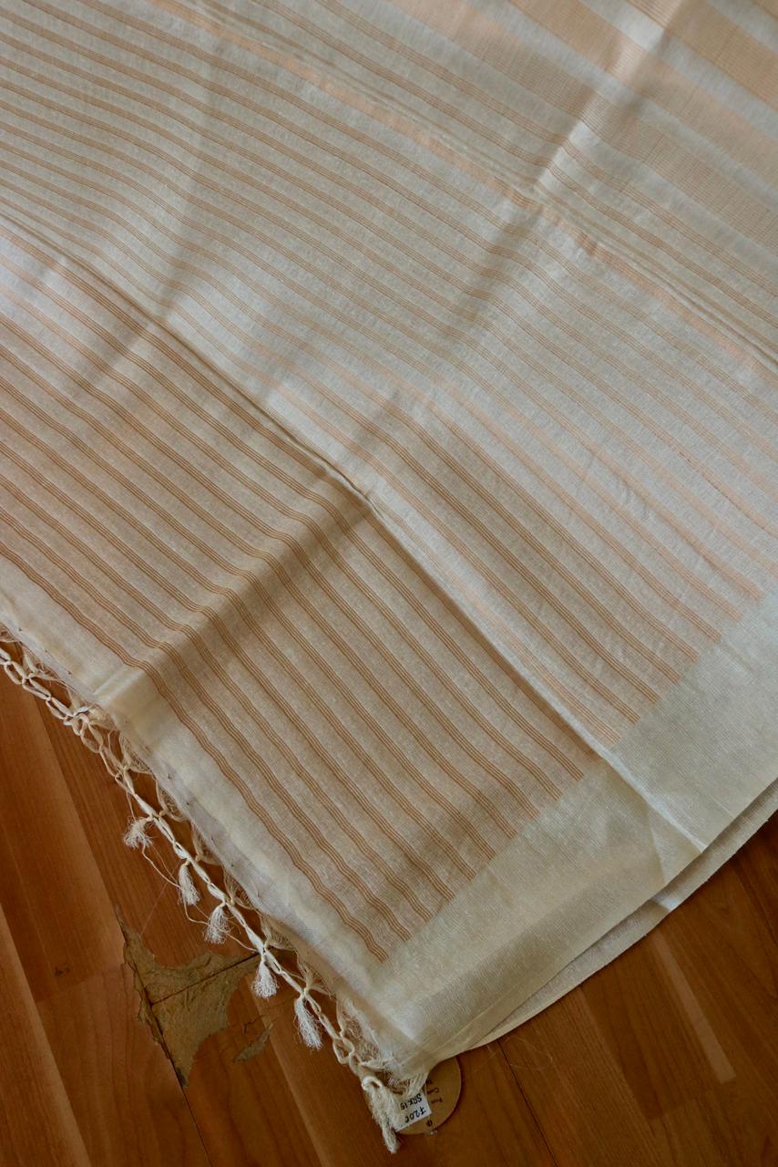 TUSSAR SAREE WITH STRIPED ZARI AND PLAIN BORDER