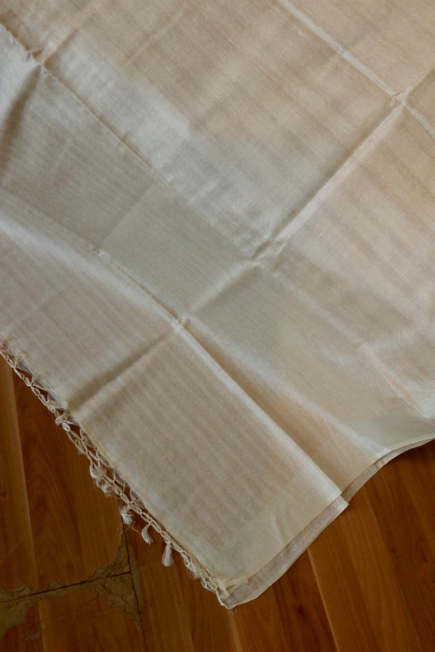 TUSSAR SAREE WITH STRIPED ZARI AND PLAIN BORDER