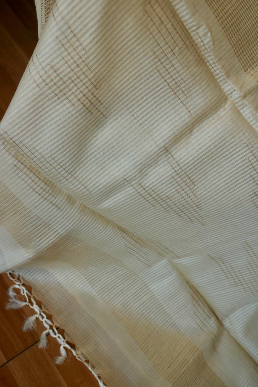TUSSAR SAREE WITH MISSING CHECKS AND ZARI BORDER