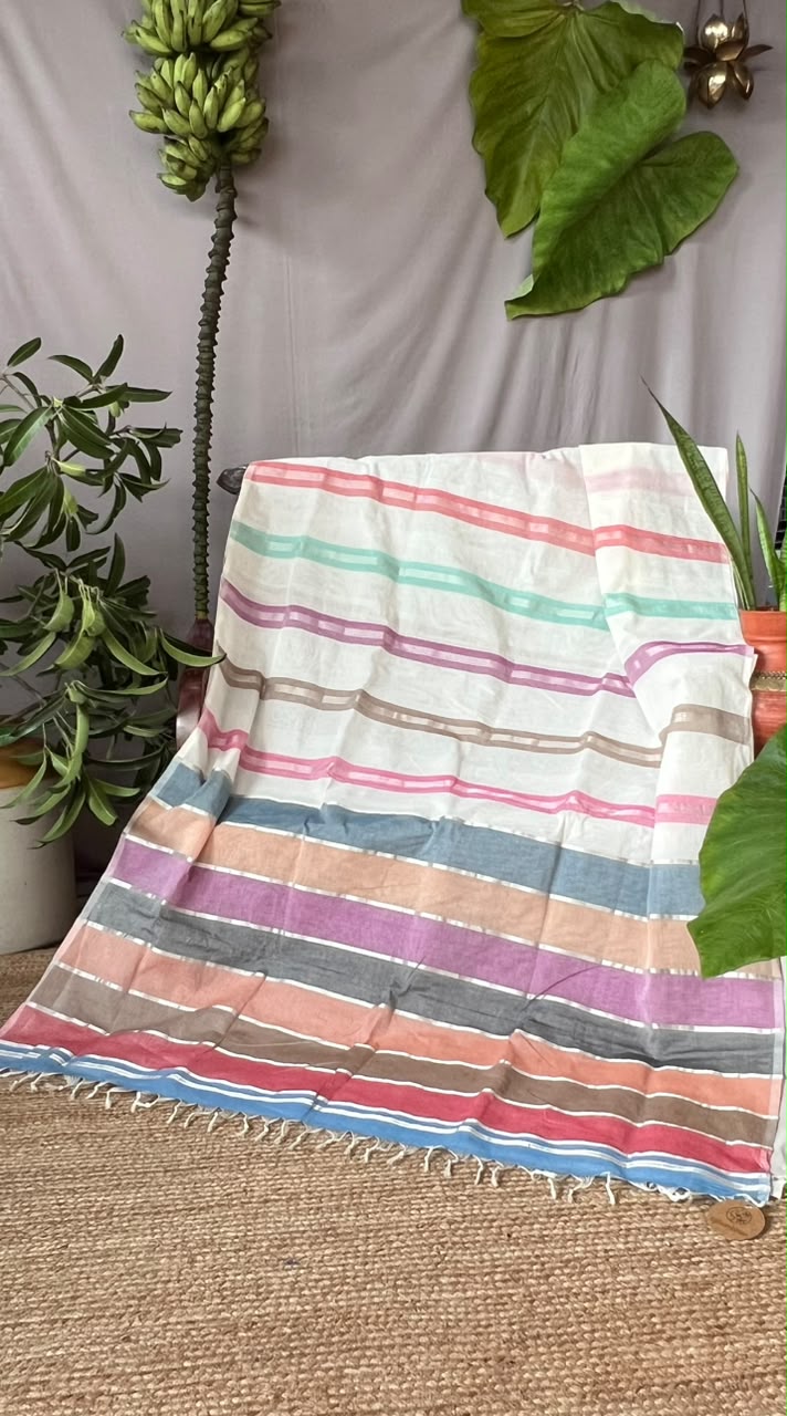 Rainbow Casatta Kasavu saree (silver)