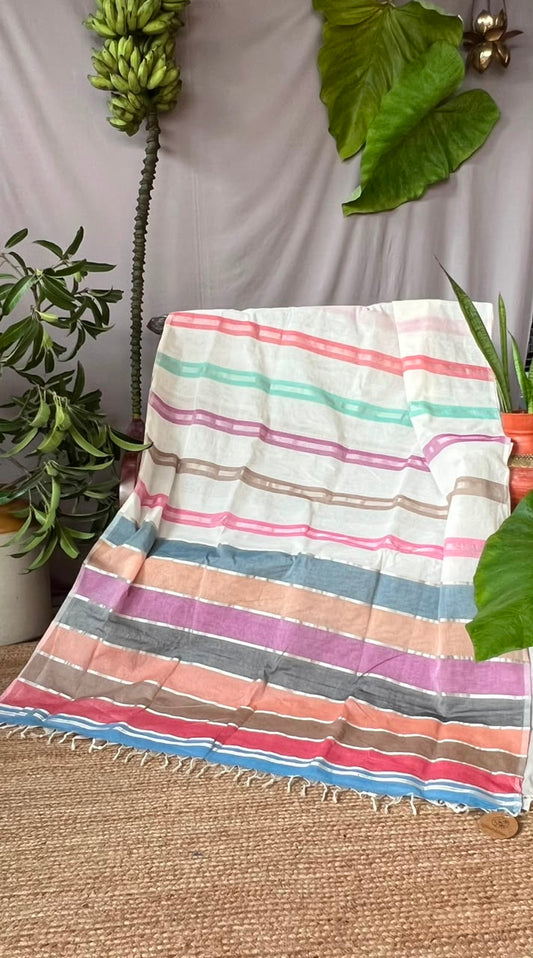 Rainbow Casatta Kasavu saree (silver)