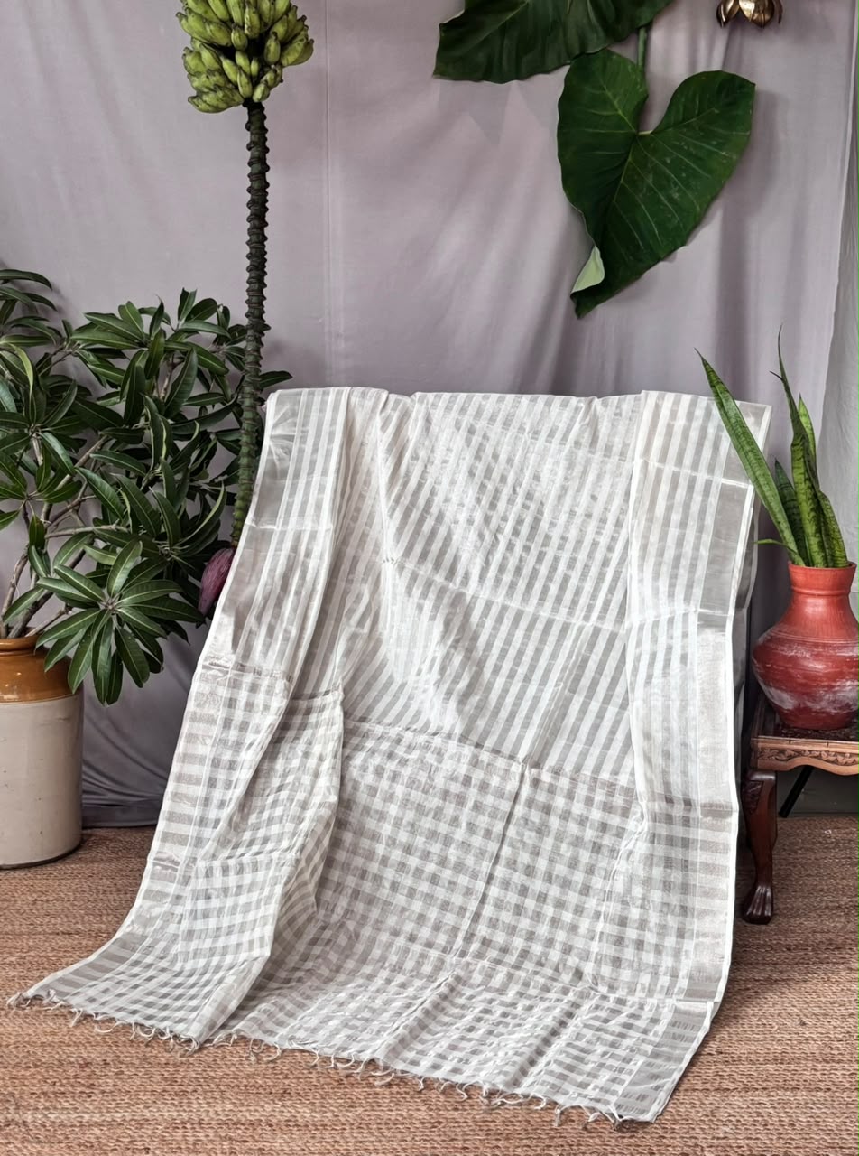 Rekha Silver zari saree